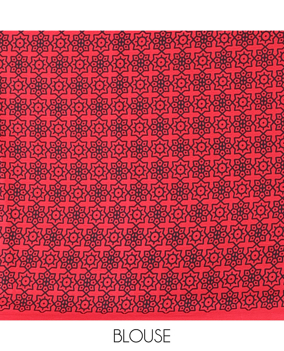 Red with black vertical lining printed design semi modal crepe saree with temple border & circle butta pallu along with printed blouse - Image 5